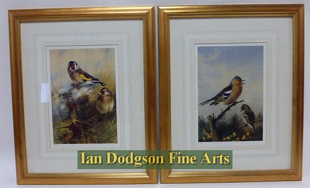 Goldfinch & Chaffinch by Archibald Thorburn